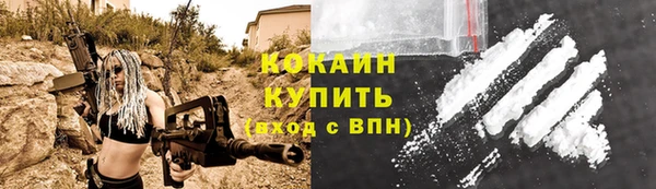 дмт Нягань